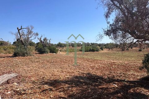 Ruinere i Carovigno, Brindisi, Carovigno - € 385.000 | Ref: Proprietà Pinea - foto 25